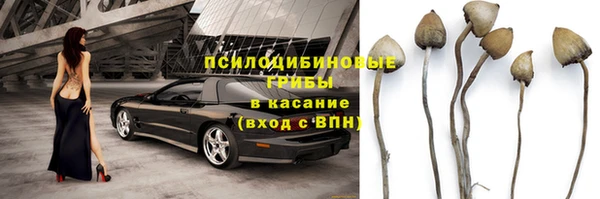 альфа пвп Инта