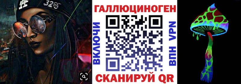 Купить закладки  Ейск  Галлюциногенные грибы Psilocybe 